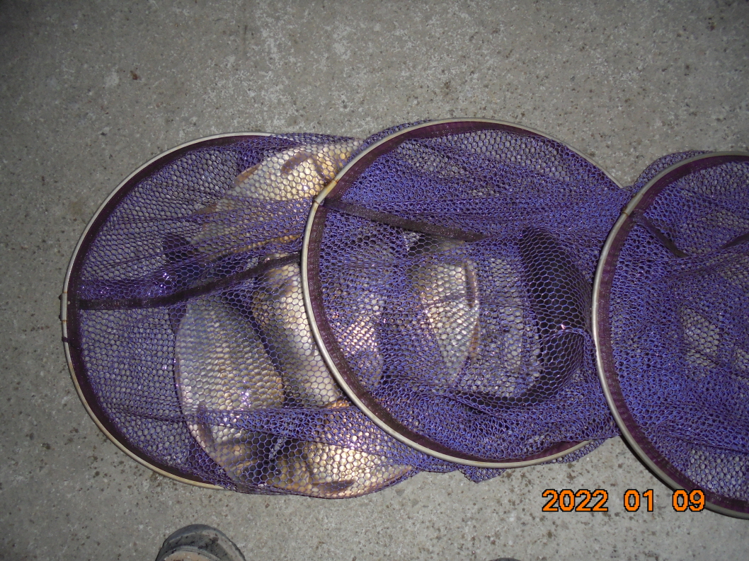 ϰ_DSC00357.JPG
