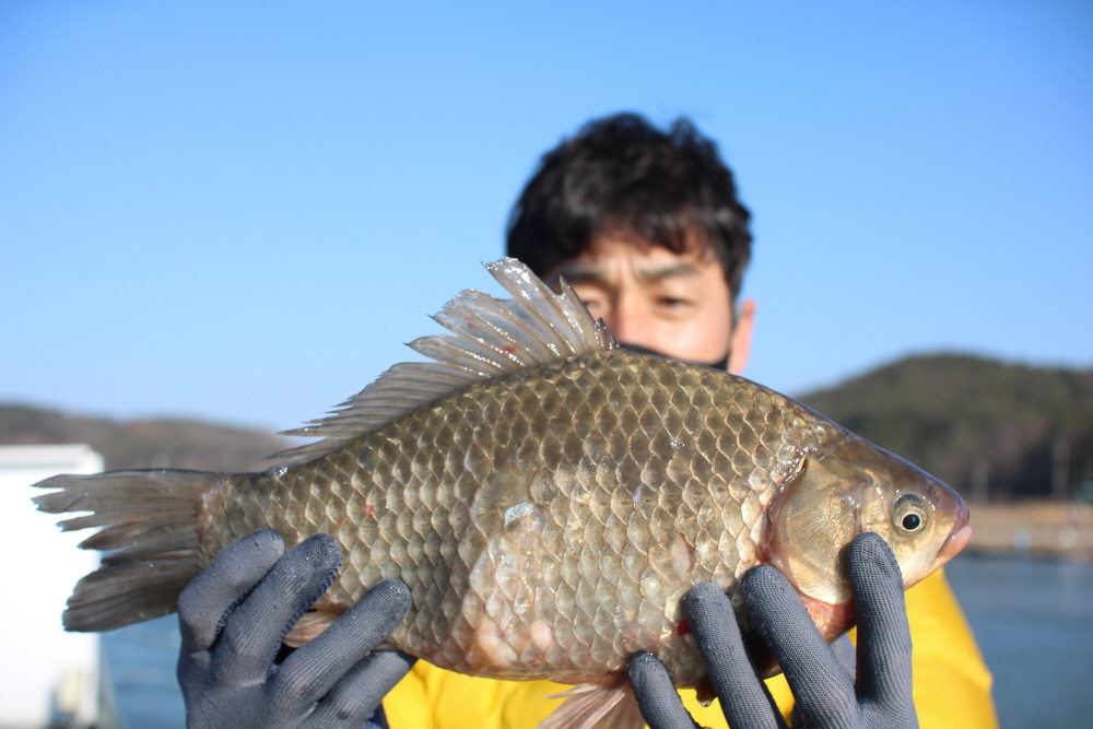 [크기변환]IMG_2444.JPG