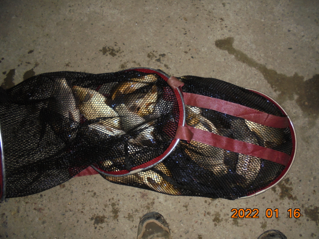 ϰ_DSC00398.JPG