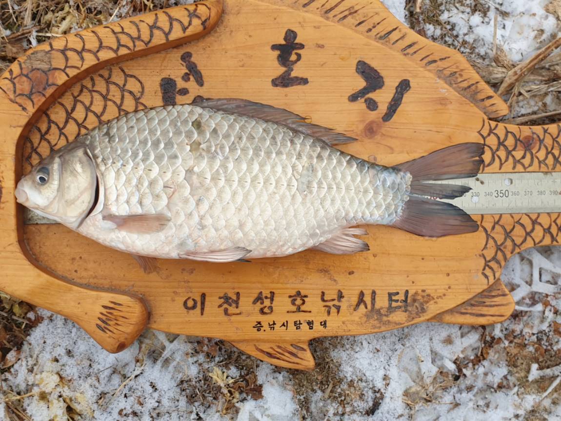 20220125_092445.jpg