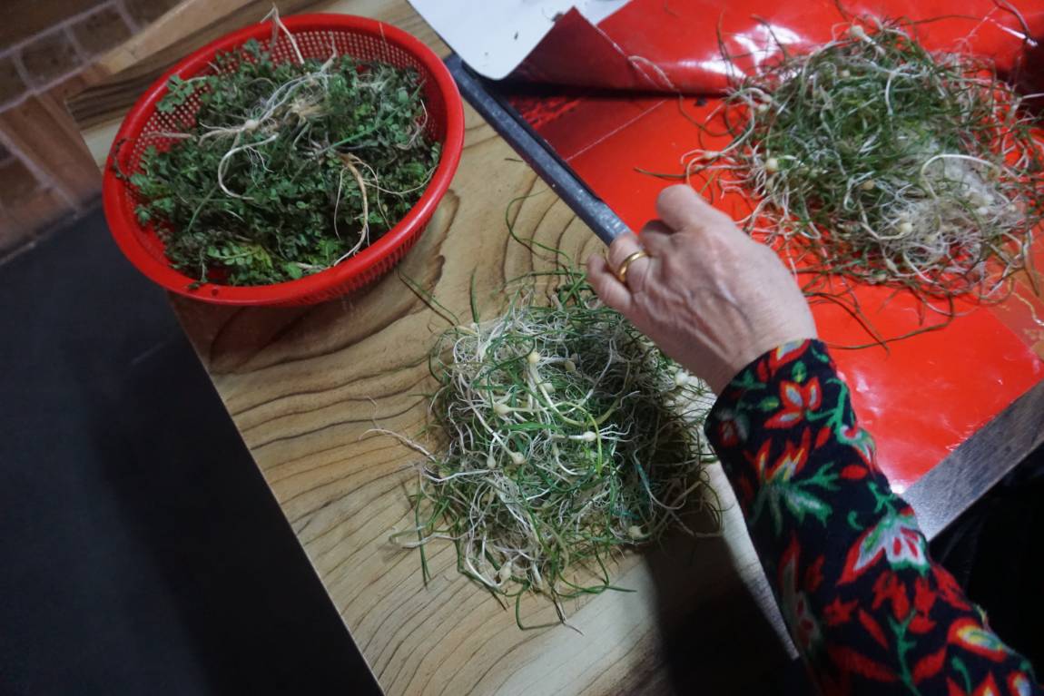 안성 독정낚시터 비추기 시작합니다