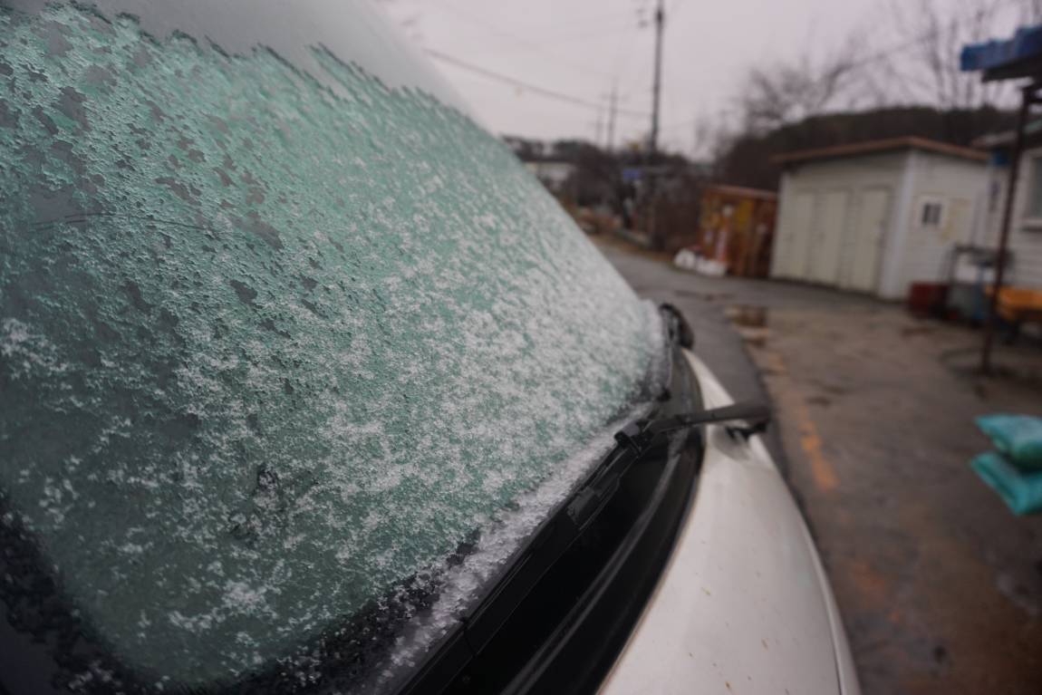 초봄인데 눈내린 주말조황은 어떨까요>>