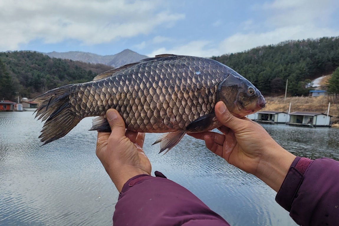 포천용담 4짜방류와 조황 그리고 설경