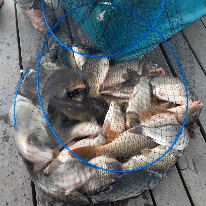 아산 산들낚시터와 명곡지의 3월27일에 올리는 주말 모습입니다.