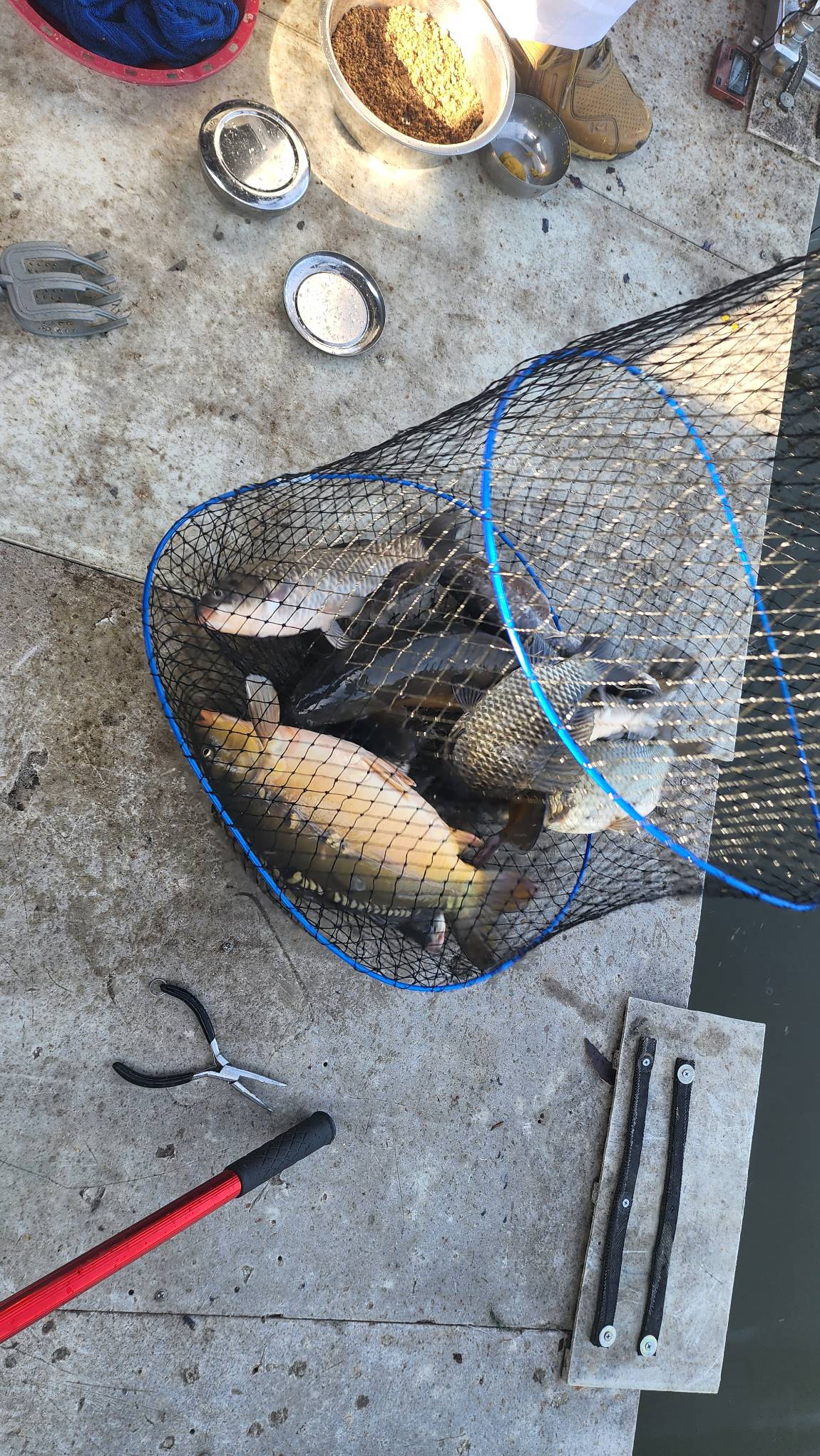 묵직한 손 맛을 보여주네요~