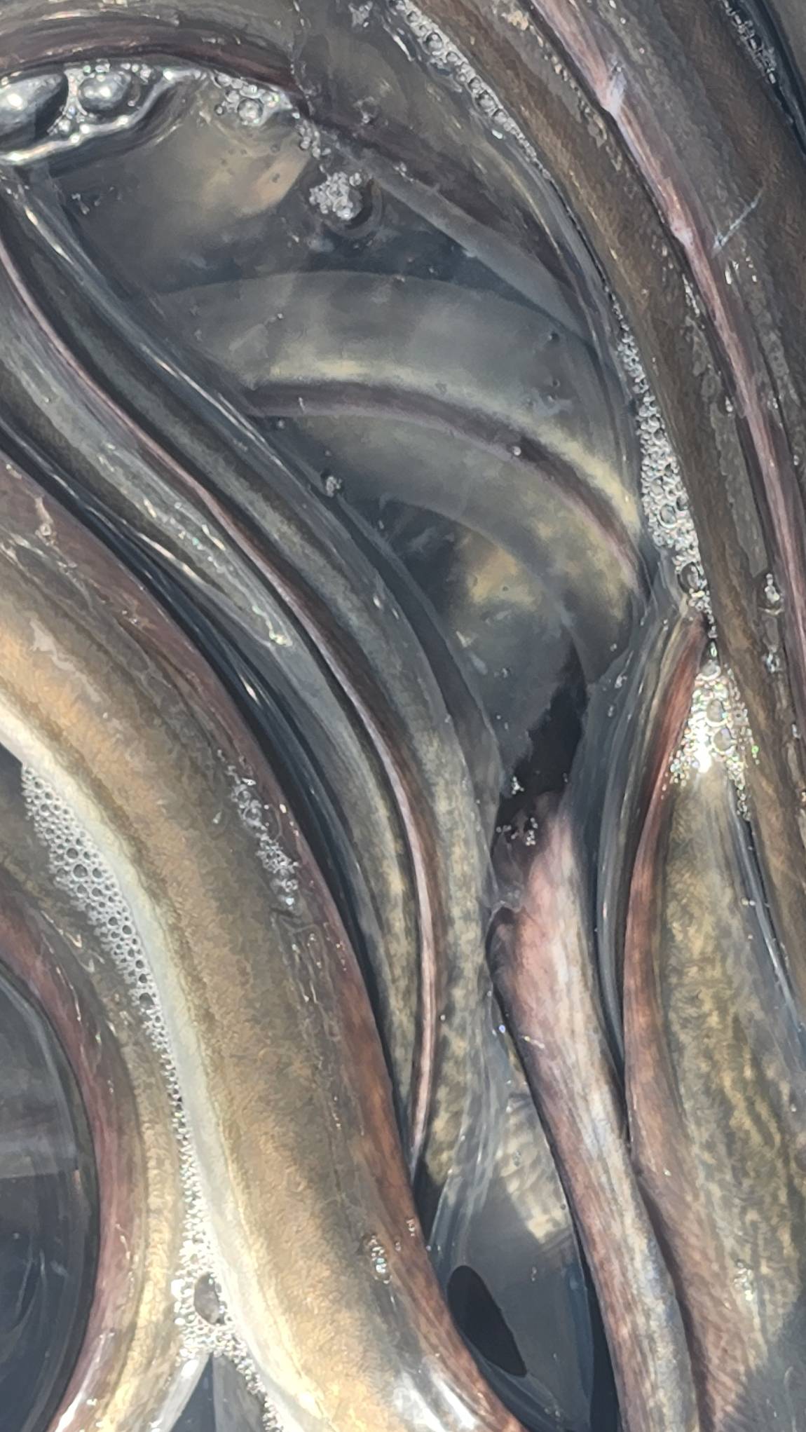 묵직한 조황이 이어지고///