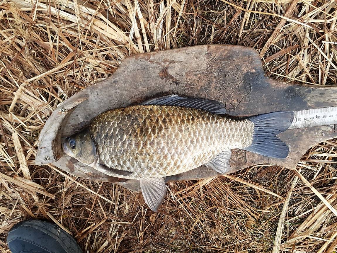 KakaoTalk_20220330_075948864_01.jpg