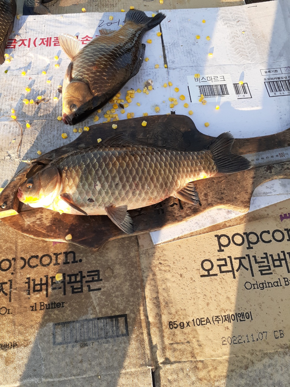 KakaoTalk_20220401_073518773_02.jpg