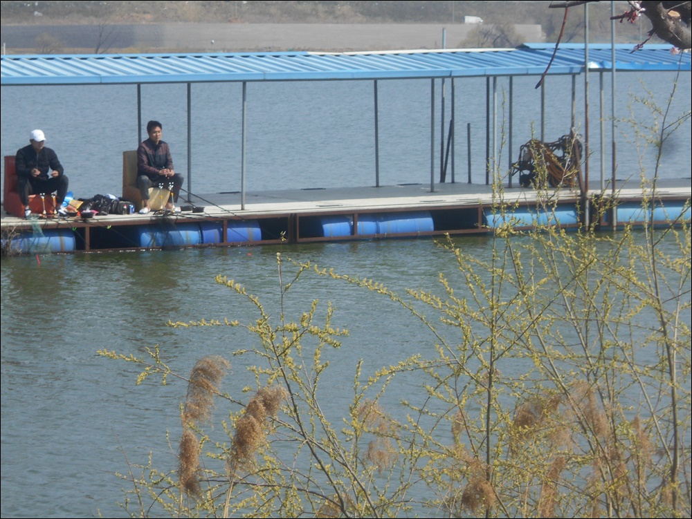 오목낚시터 봄꽃절정 사월 둘째주 조황!!!