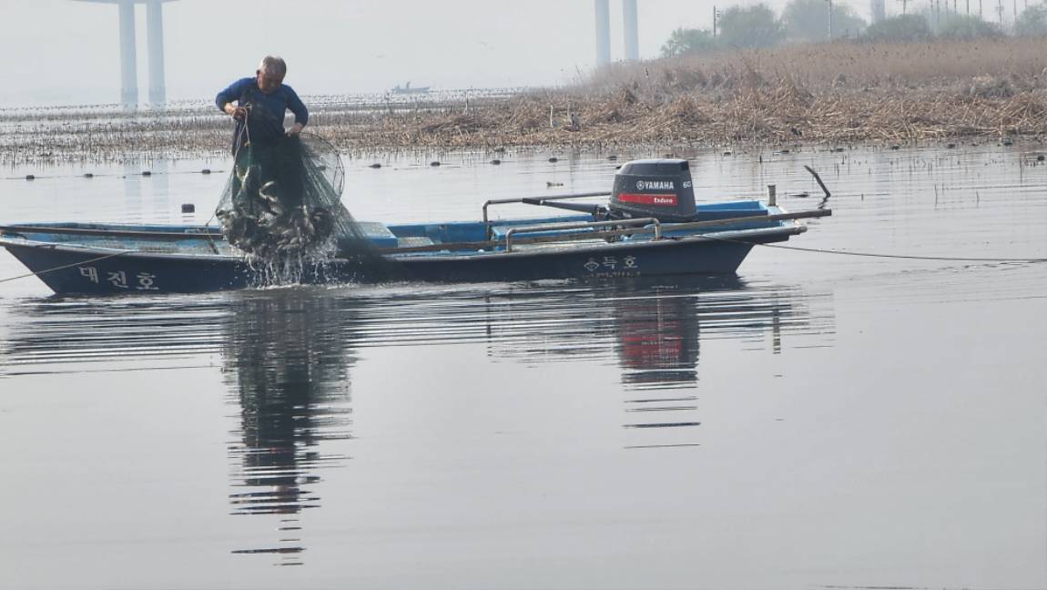 토종을 잡으려는 자 독정을 택하라~!!
