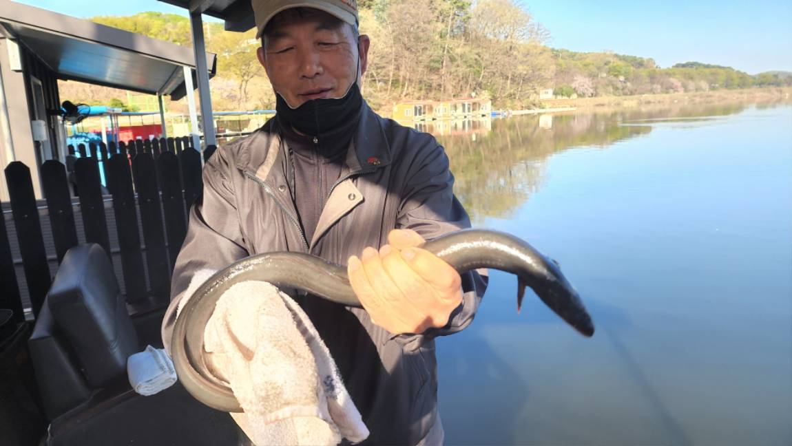 큰 장어가 입질을 시작했네요~