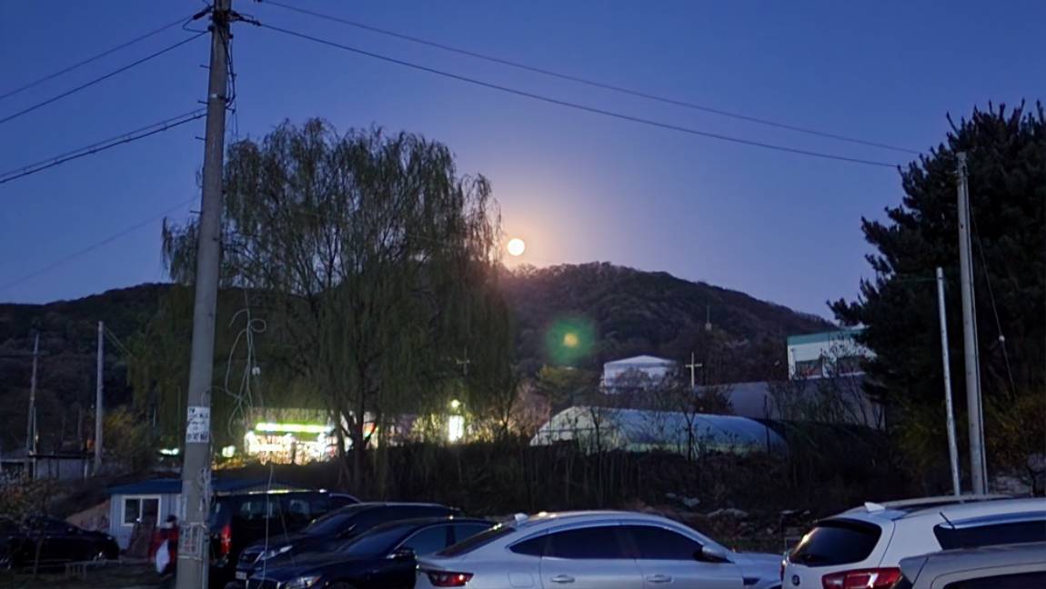 나도 몰랐던 특수미끼