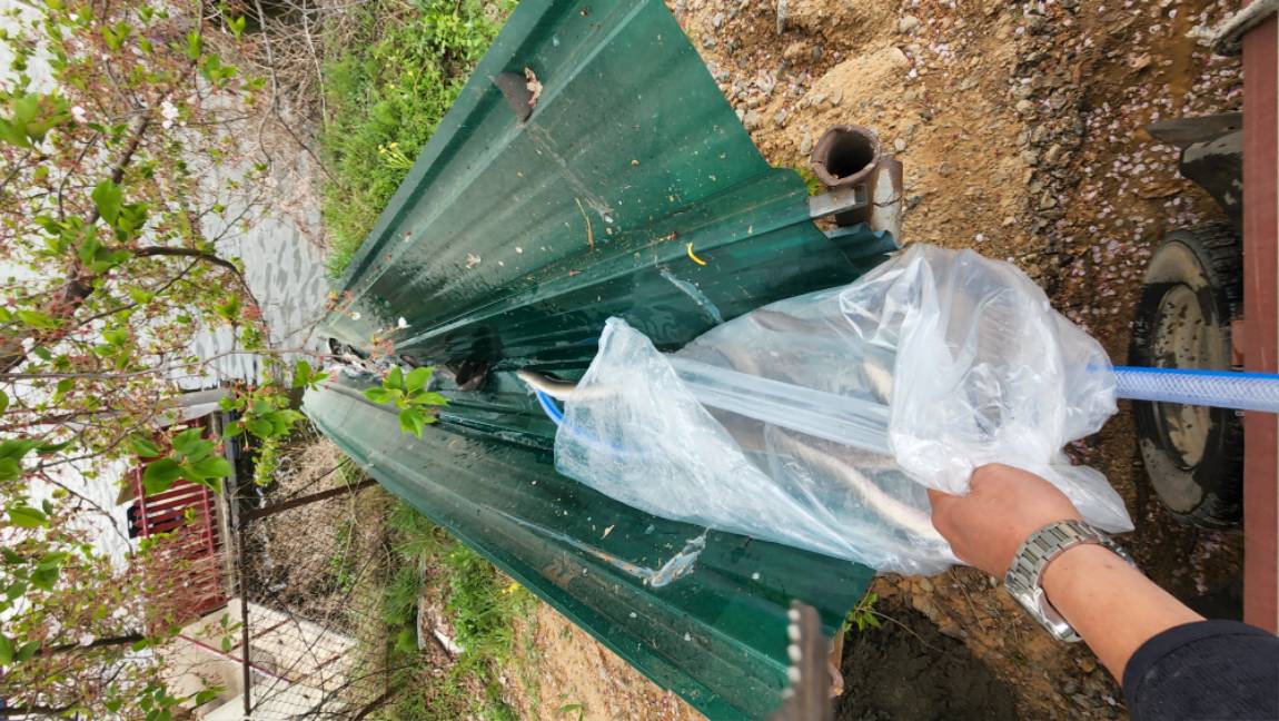 물속에서 야동을 찍는 거 같아요~~