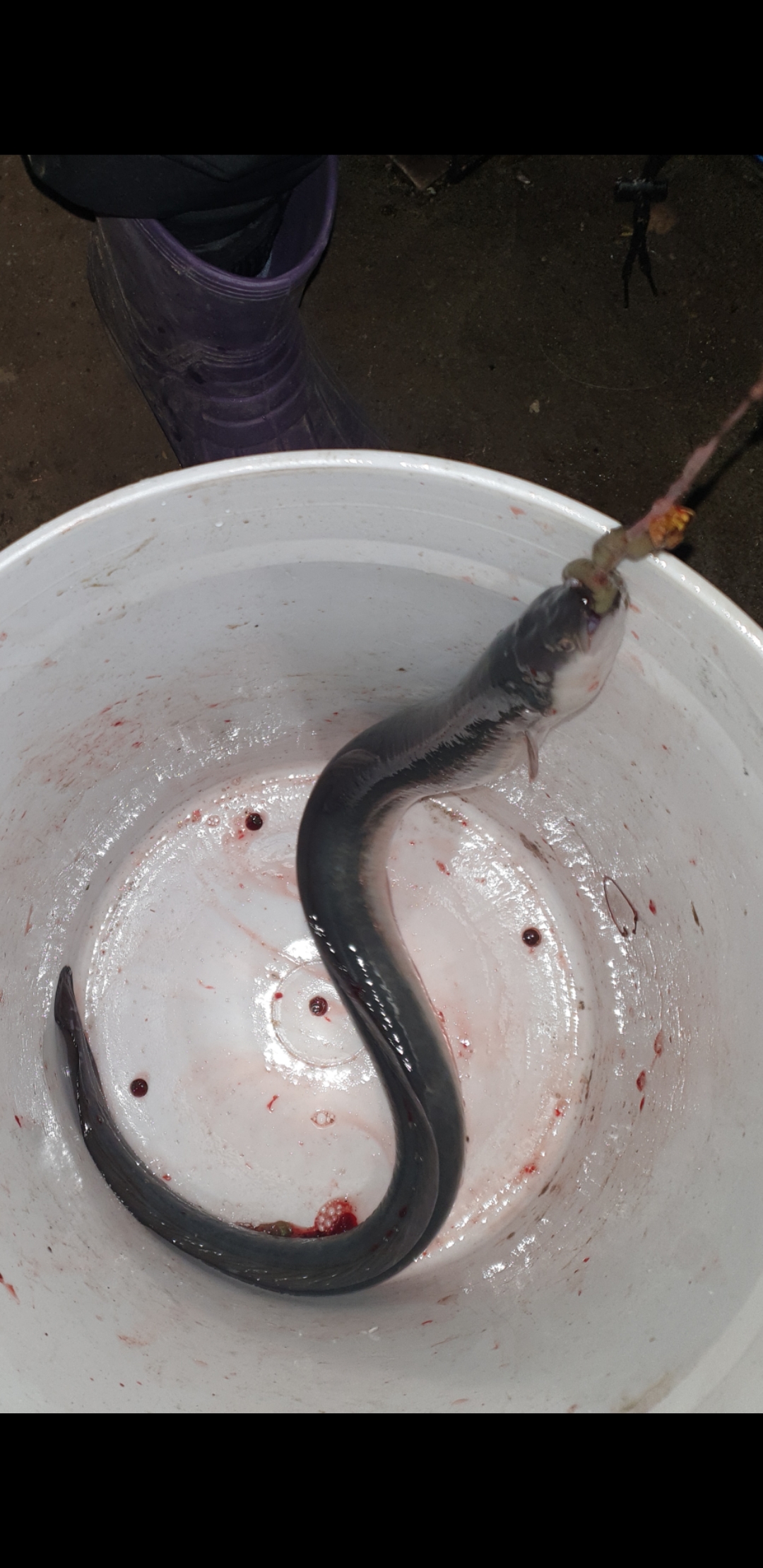 다양하게 다채롭게,,,