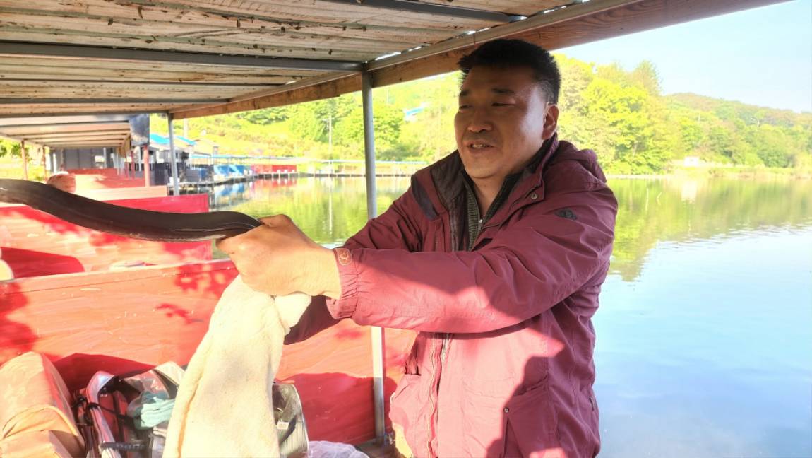 낮에도 토종붕어의 입질이////