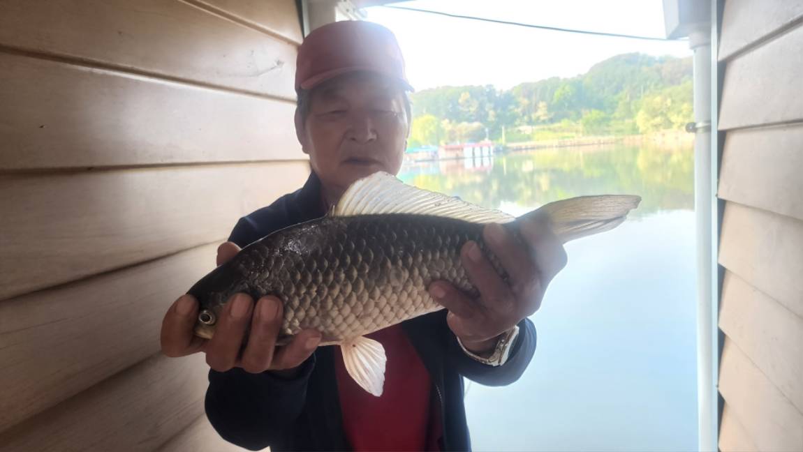 월척도 장어도....