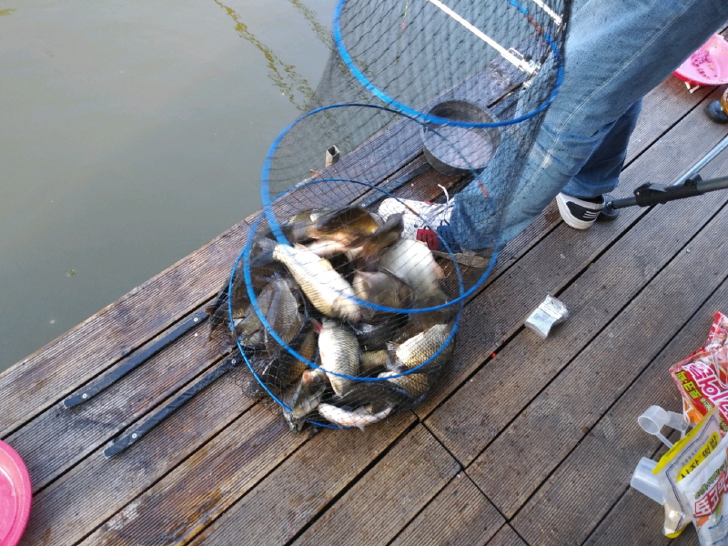 [꾸미기]1 (1).jpg