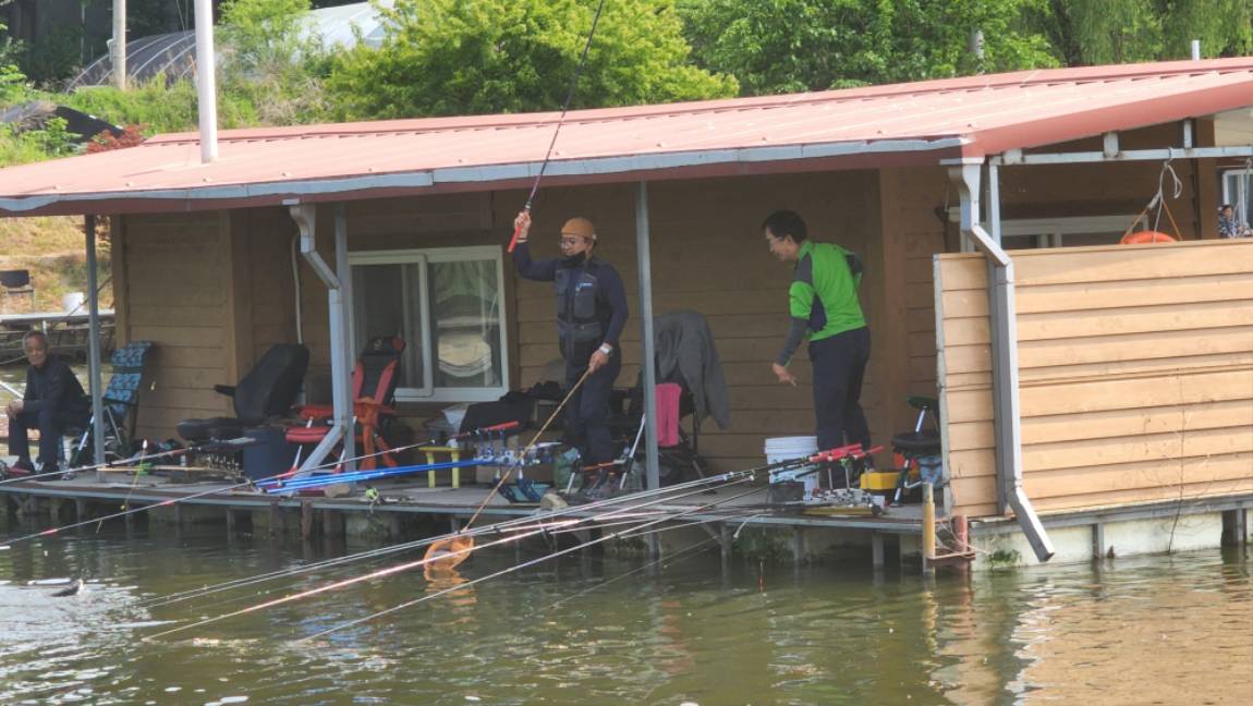 장어와 4짜붕어