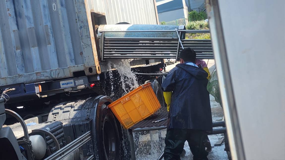 독정낚시터 골라 골라