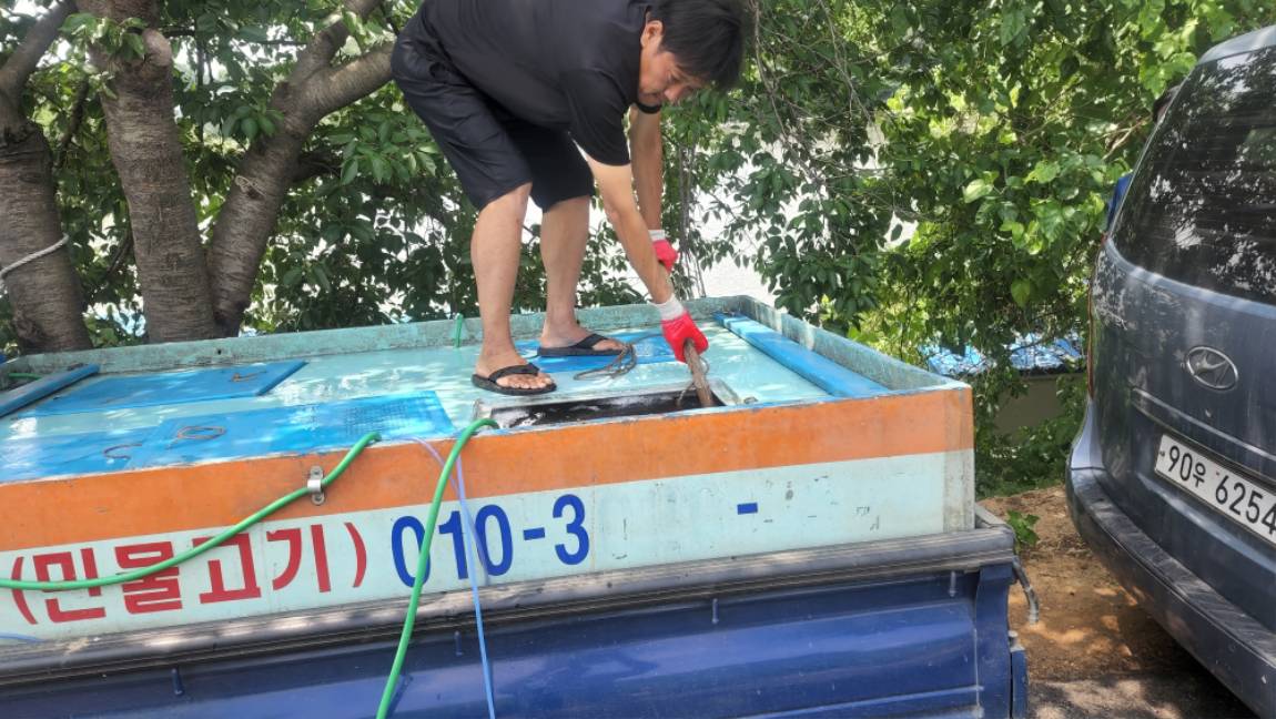 주중의 독정상황입니다