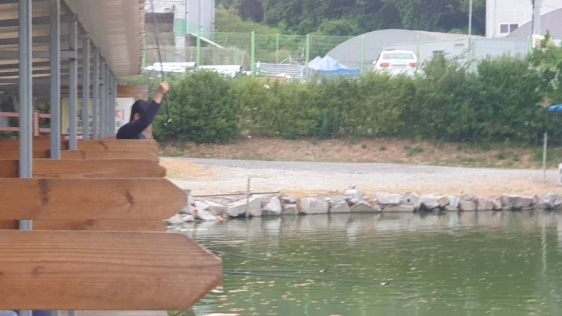 6월 11일 배수없는 안성 거청낚시터
