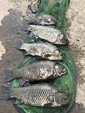 KakaoTalk_20220605_094824765_01.jpg