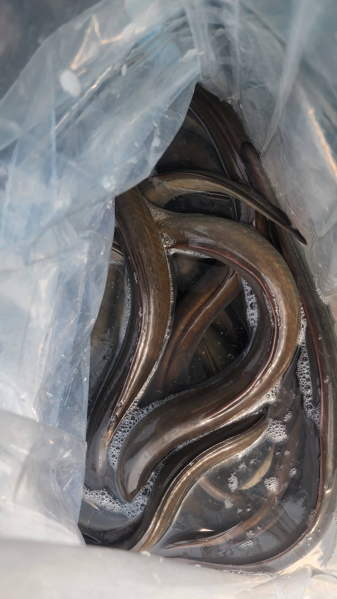 뭔가 바뀌겠죠??