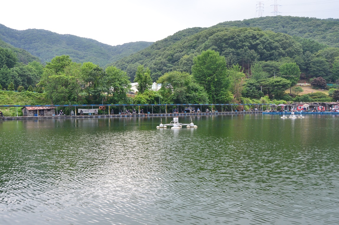 DSC_6623.JPG