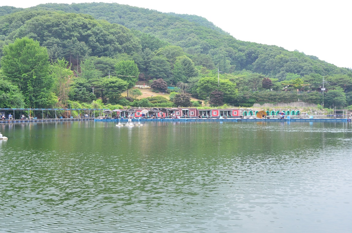 DSC_6621.JPG