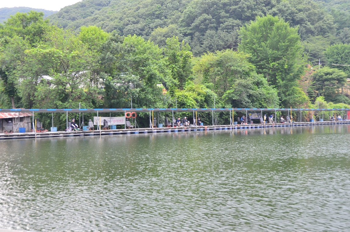DSC_6626.JPG