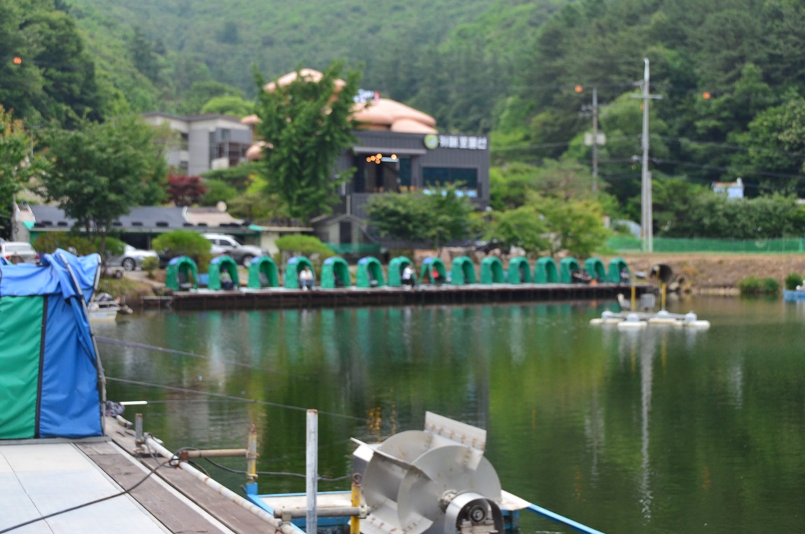 DSC_6631.JPG