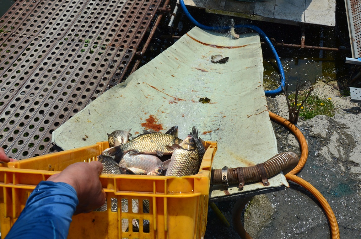 DSC_5741.JPG