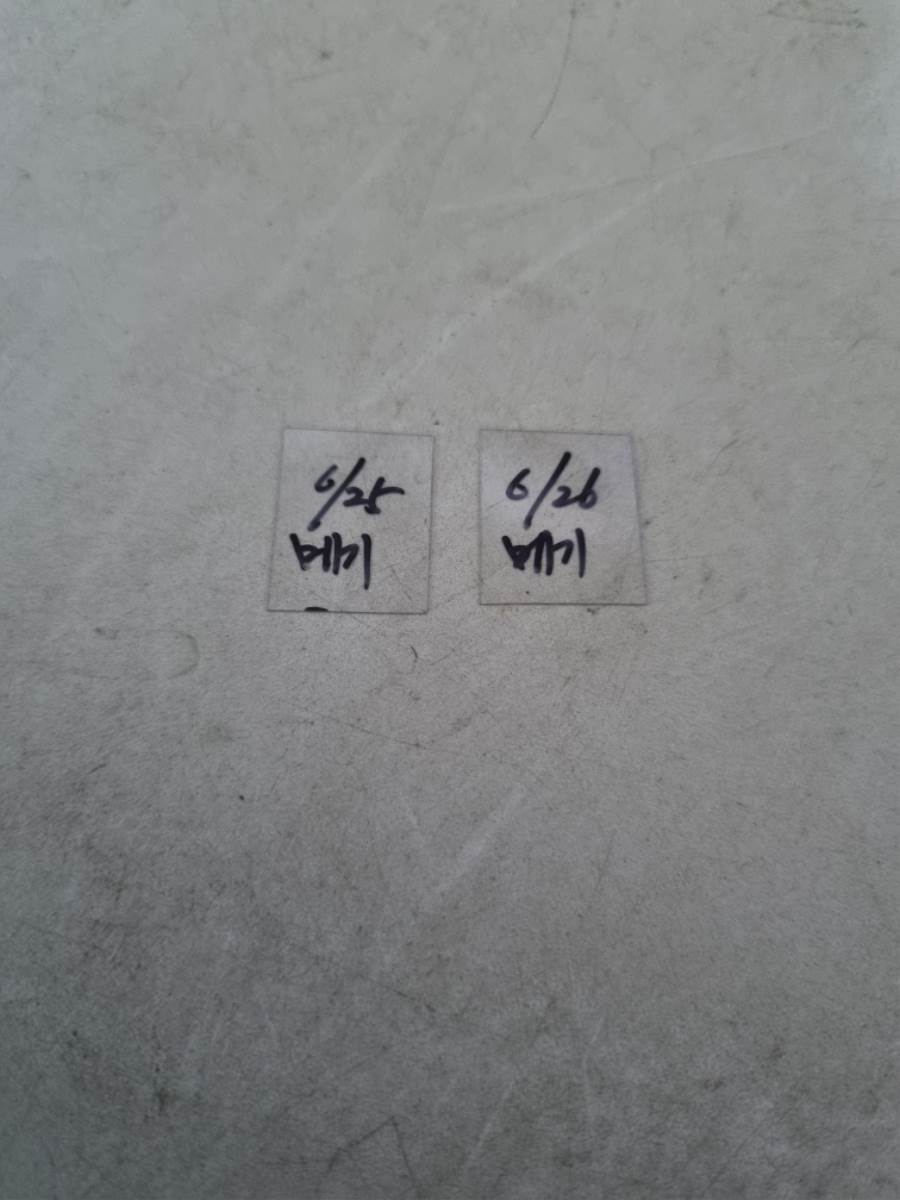 2022.06.23 030.jpg