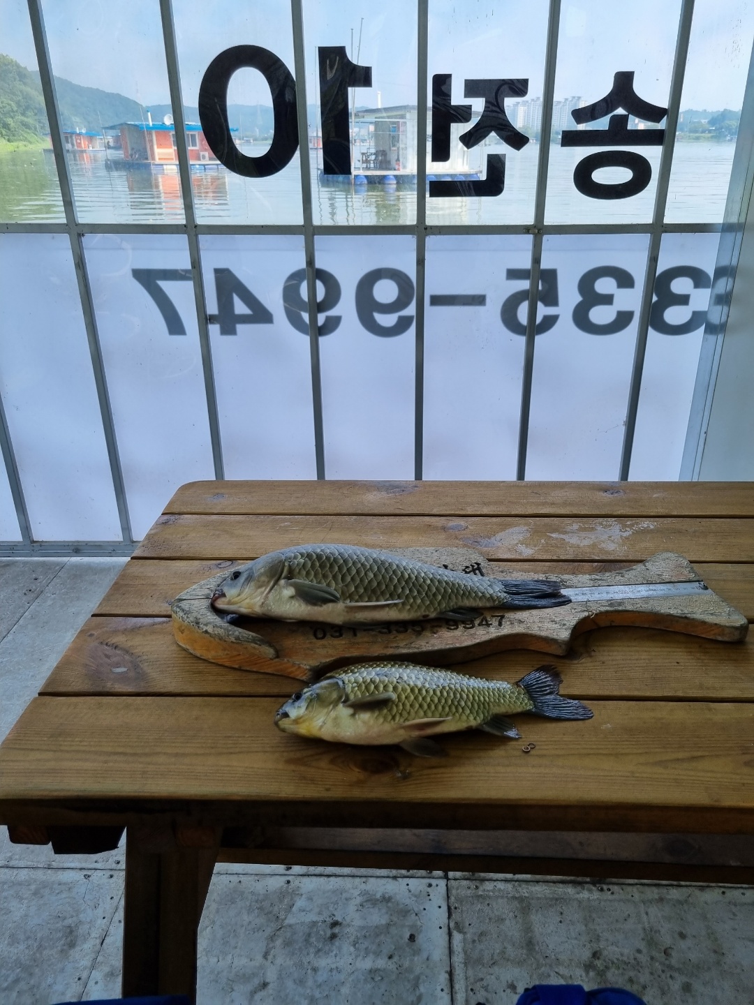 KakaoTalk_20220704_090132307.jpg