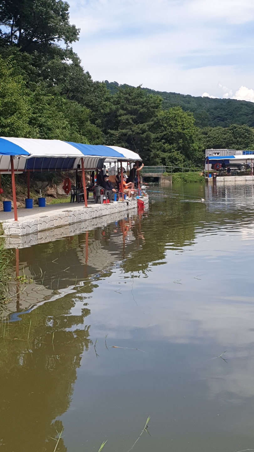 여주관광농원낚시터 유료낚시터 > 관광농원 조황소식입니다. : 낚시사랑