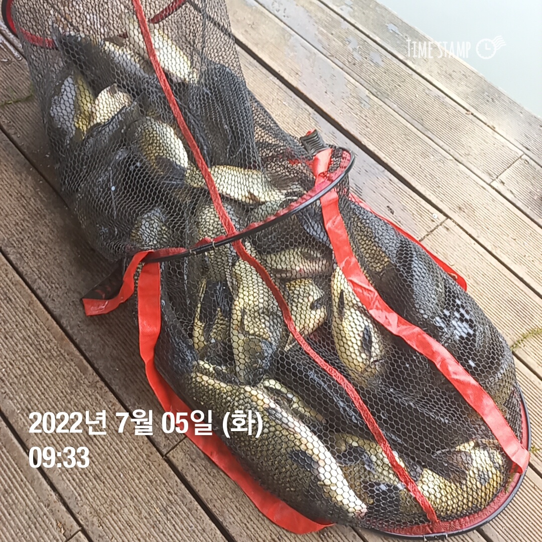 KakaoTalk_20220705_103525872_28.jpg