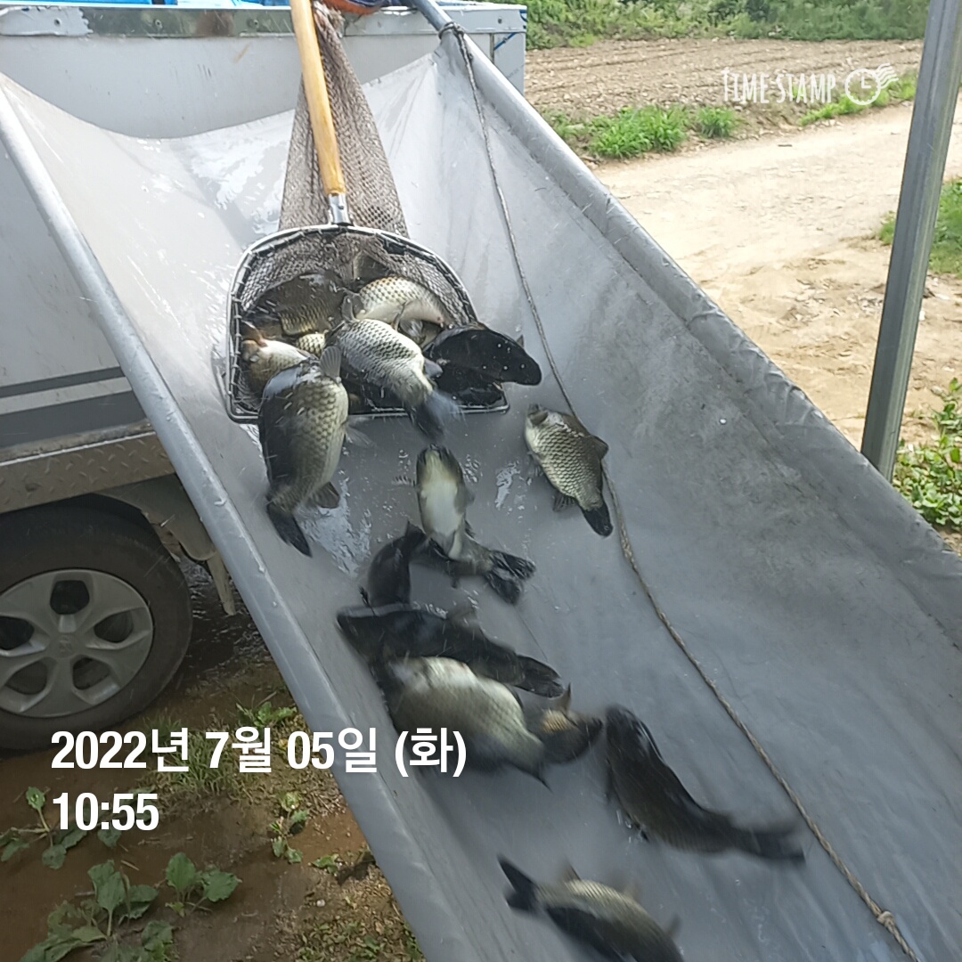 KakaoTalk_20220705_111948142_05.jpg