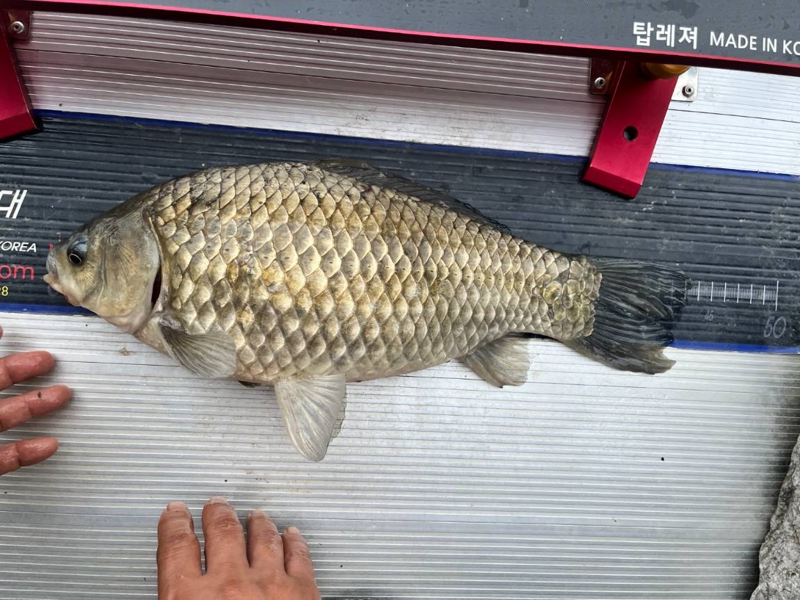 KakaoTalk_20220704_114226501_05.jpg