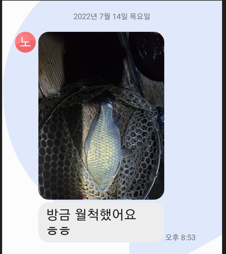 캡처-6.JPG