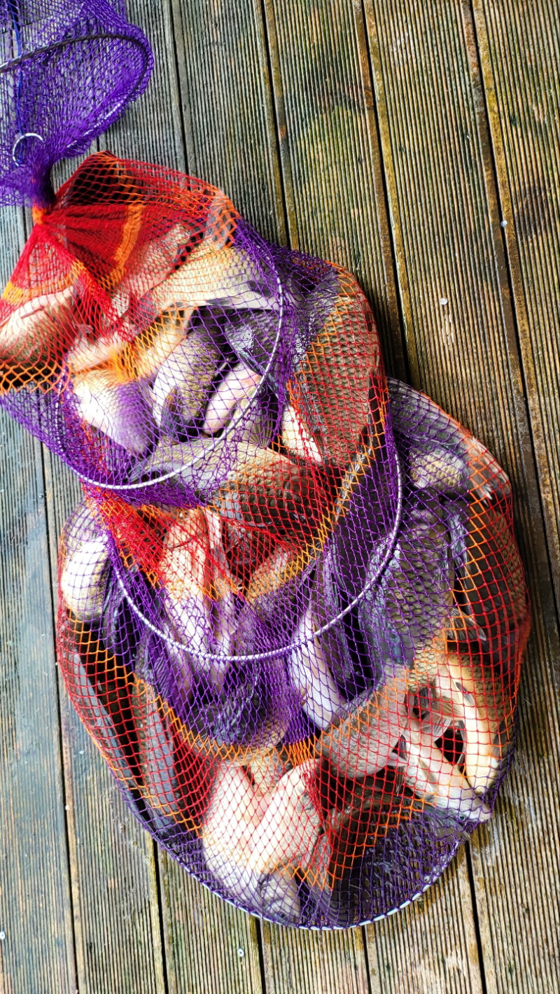 [꾸미기]1 (1).jpg