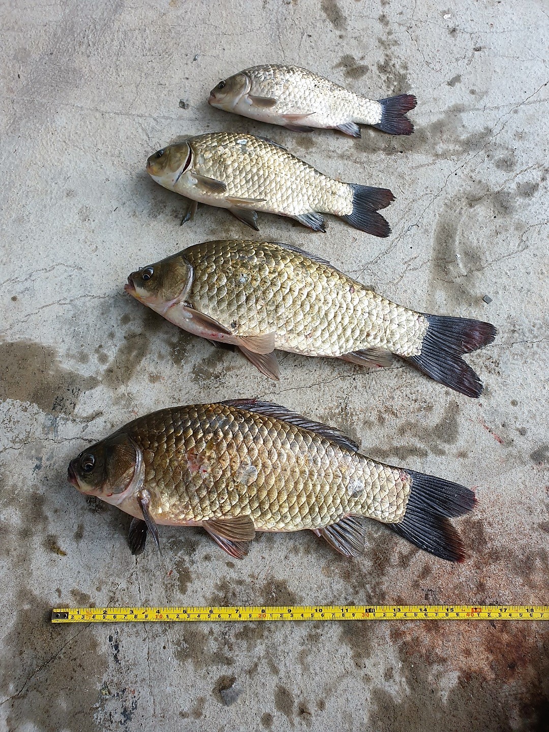 KakaoTalk_20220727_134723316.jpg