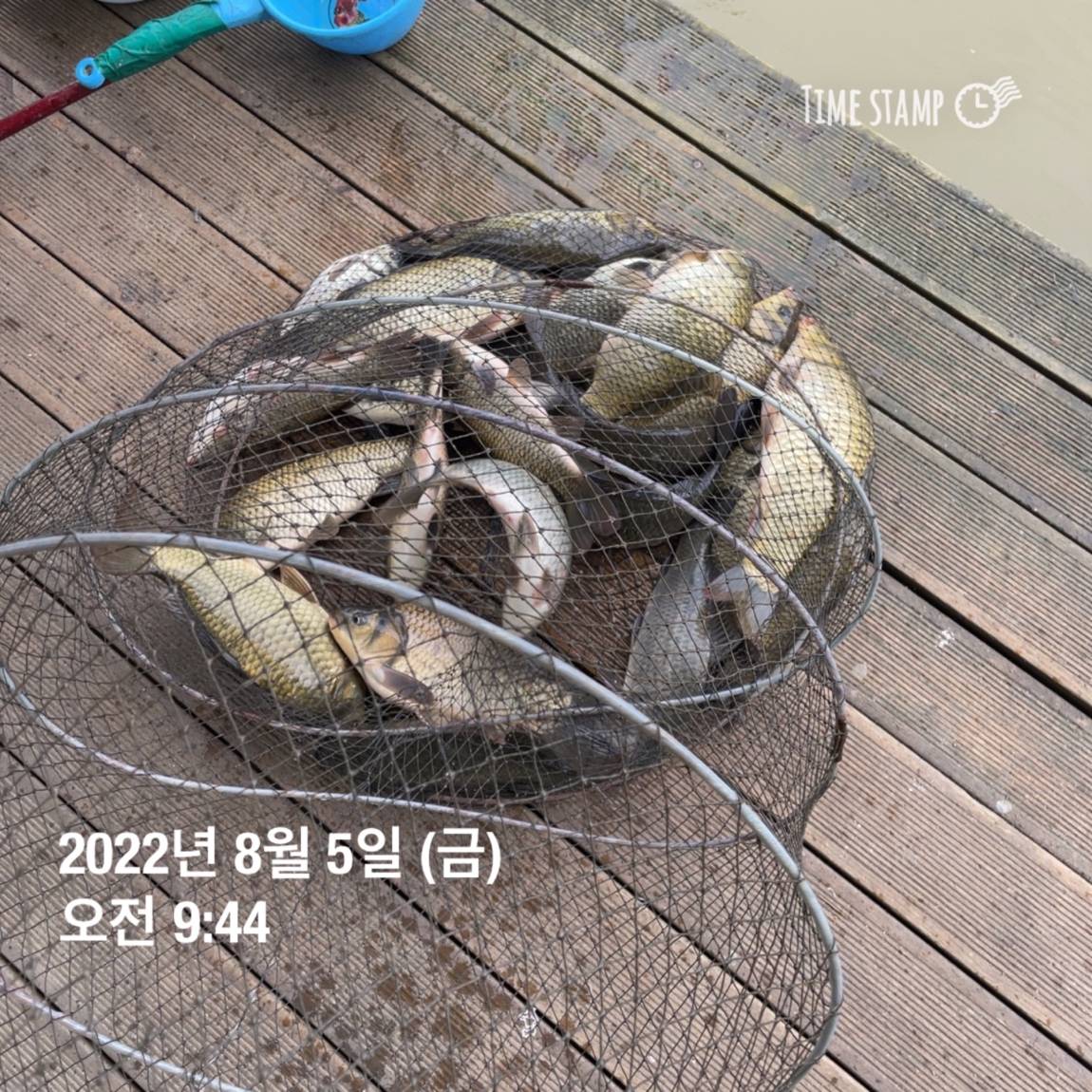 KakaoTalk_20220805_143657462_03.jpg
