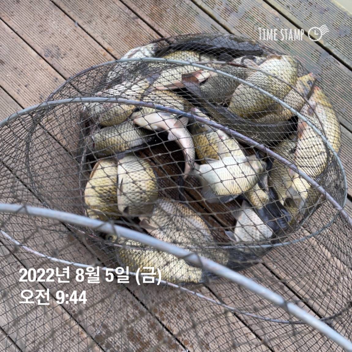 KakaoTalk_20220805_143657462_04.jpg