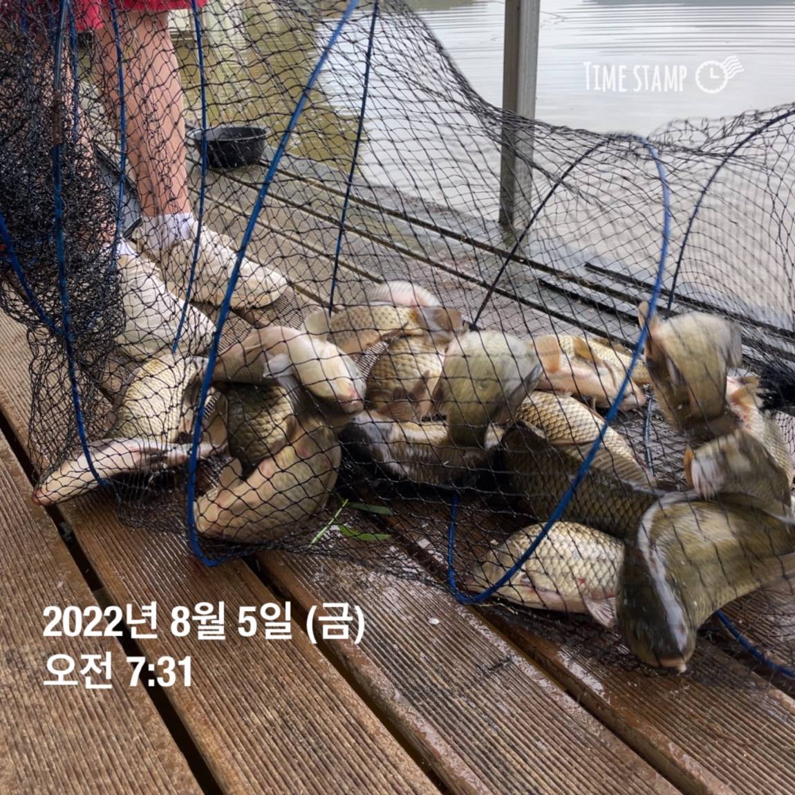 KakaoTalk_20220805_143657462_08.jpg