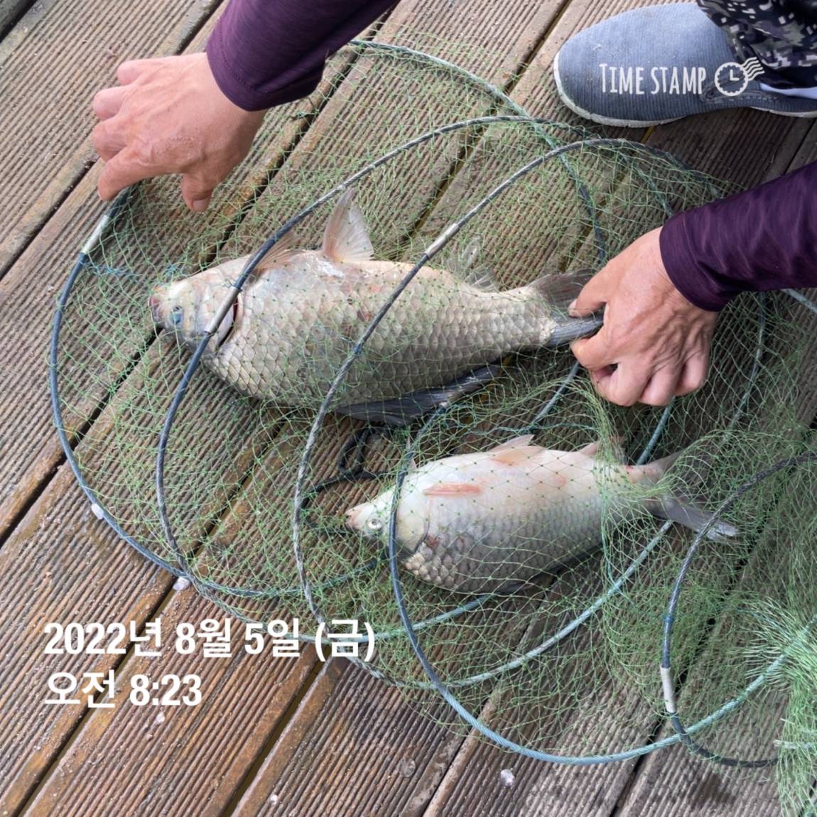 KakaoTalk_20220805_143657462_09.jpg