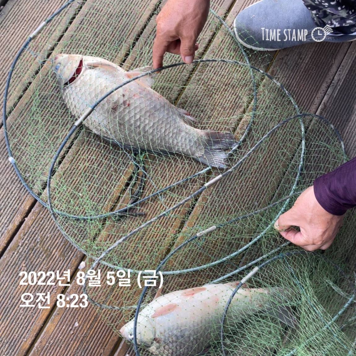 KakaoTalk_20220805_143657462_10.jpg