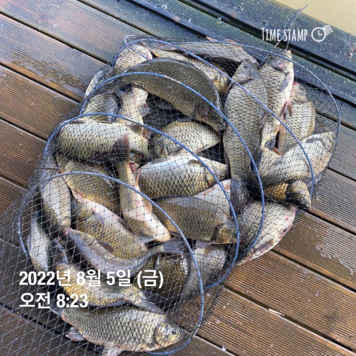 KakaoTalk_20220805_143657462_13.jpg