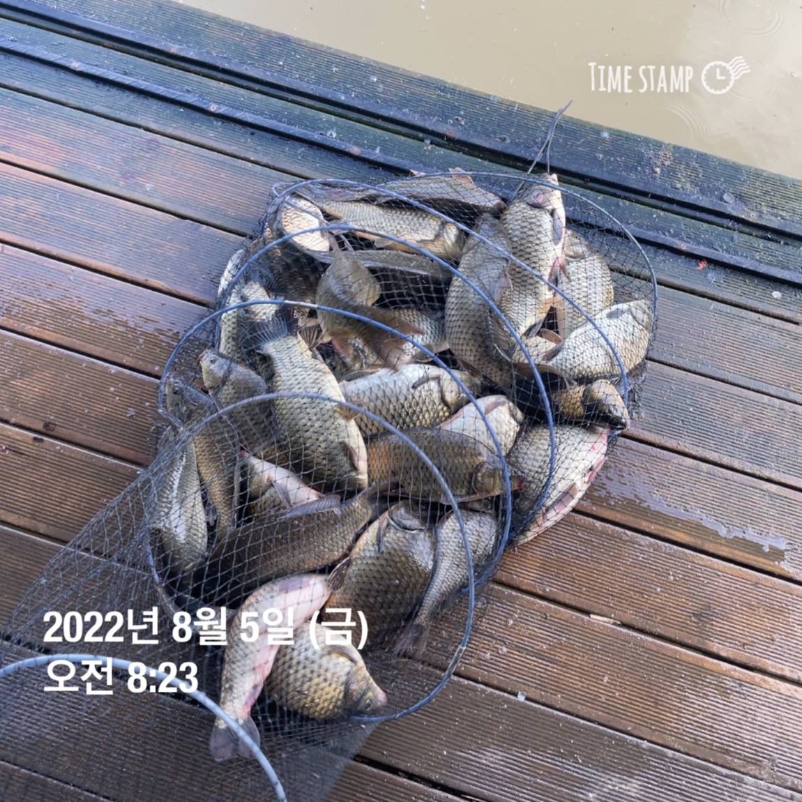 KakaoTalk_20220805_143657462_12.jpg