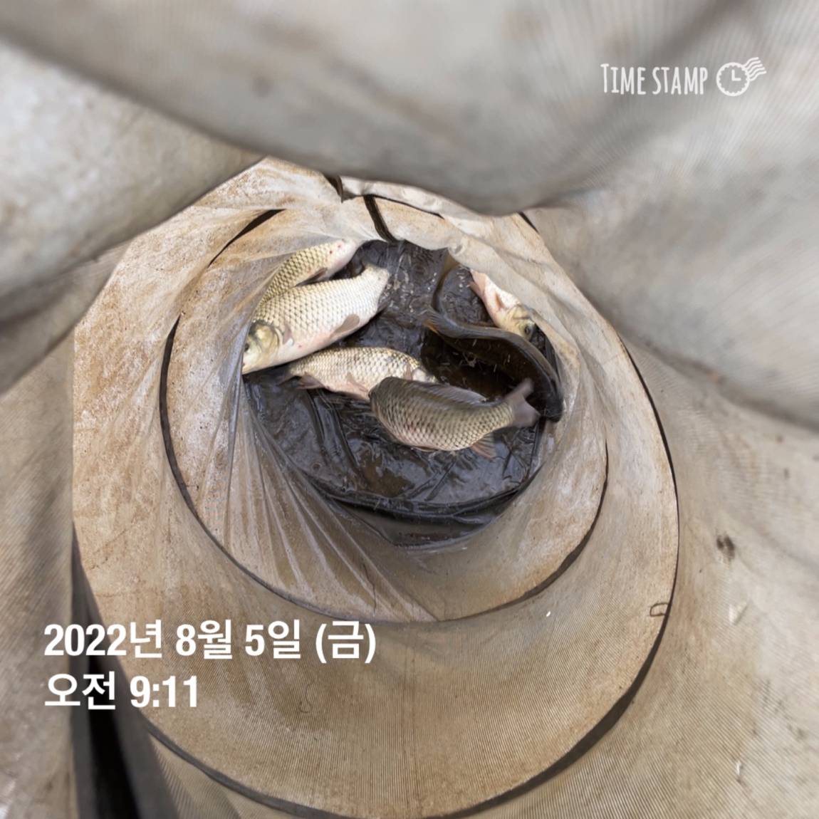 KakaoTalk_20220805_143657462_15.jpg