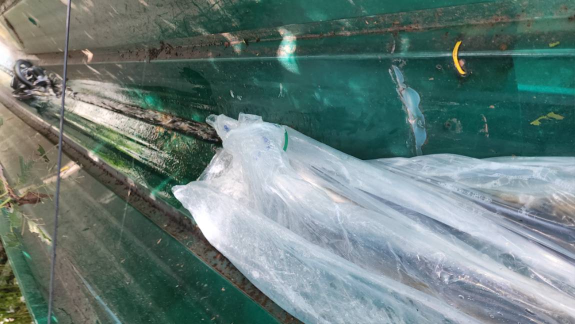 이어지는 황톳빛 호황